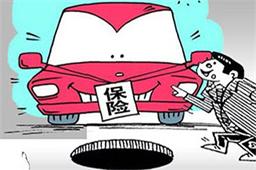 这些汽车保险真的可以不买?